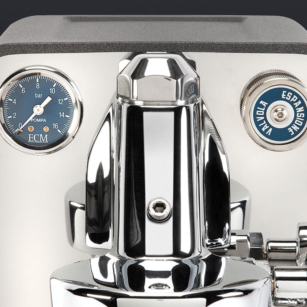 ECM PURISTIKA